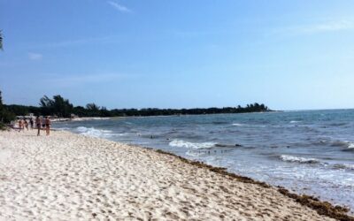 Paradisus Playa Del Carmen